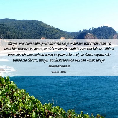 Picture 06 - Wacdiyahii 3:19 SOM - Waayo, wixii binu-aadmiga ku dhacaaba - Bible Verse Picture