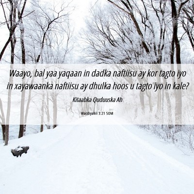 Picture 06 - Wacdiyahii 3:21 SOM - Waayo, bal yaa yaqaan in dadka naftiisu ay kor - Bible Verse Picture
