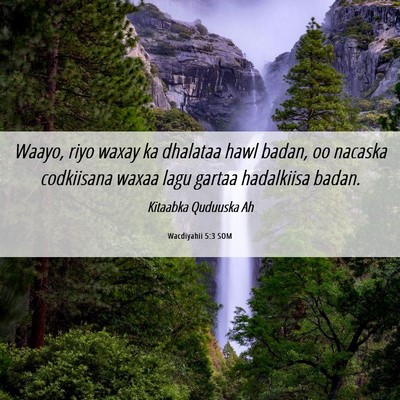 Picture 06 - Wacdiyahii 5:3 SOM - Waayo, riyo waxay ka dhalataa hawl badan, oo - Bible Verse Picture