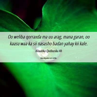 Picture 06 - Wacdiyahii 6:5 SOM - Oo weliba qorraxda ma uu arag, mana garan, oo - Bible Verse Picture