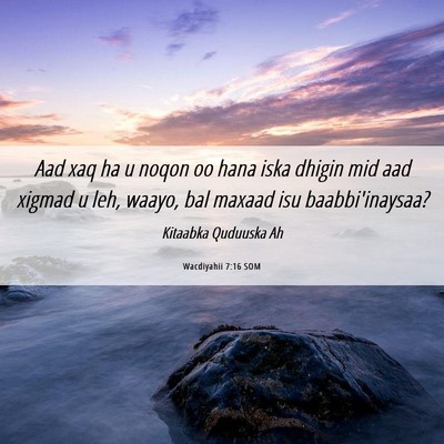 Picture 06 - Wacdiyahii 7:16 SOM - Aad xaq ha u noqon oo hana iska dhigin mid aad - Bible Verse Picture