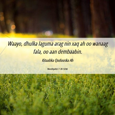 Picture 06 - Wacdiyahii 7:20 SOM - Waayo, dhulka laguma arag nin xaq ah oo wanaag - Bible Verse Picture