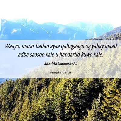Picture 06 - Wacdiyahii 7:22 SOM - Waayo, marar badan ayaa qalbigaagu og yahay inaad - Bible Verse Picture