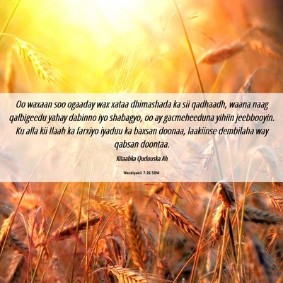 Picture 06 - Wacdiyahii 7:26 SOM - Oo waxaan soo ogaaday wax xataa dhimashada ka sii - Bible Verse Picture
