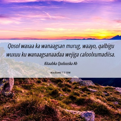 Picture 06 - Wacdiyahii 7:3 SOM - Qosol waxaa ka wanaagsan murug, waayo, qalbigu - Bible Verse Picture