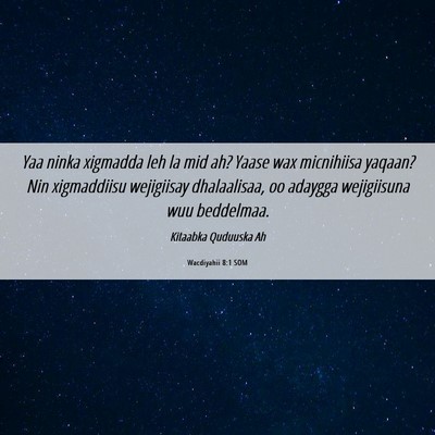 Picture 06 - Wacdiyahii 8:1 SOM - Yaa ninka xigmadda leh la mid ah? Yaase wax - Bible Verse Picture