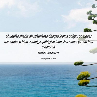 Picture 06 - Wacdiyahii 8:11 SOM - Shuqulka sharka ah xukunkiisa dhaqso looma - Bible Verse Picture