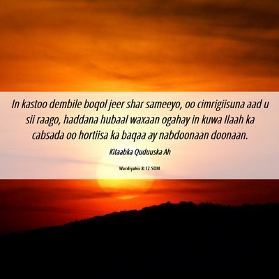 Picture 06 - Wacdiyahii 8:12 SOM - In kastoo dembile boqol jeer shar sameeyo, oo - Bible Verse Picture