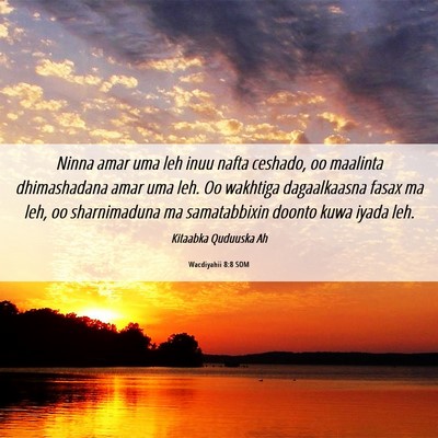 Picture 06 - Wacdiyahii 8:8 SOM - Ninna amar uma leh inuu nafta ceshado, oo - Bible Verse Picture