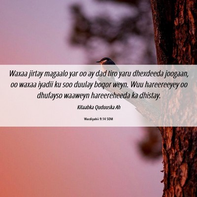Picture 06 - Wacdiyahii 9:14 SOM - Waxaa jirtay magaalo yar oo ay dad tiro yaru - Bible Verse Picture