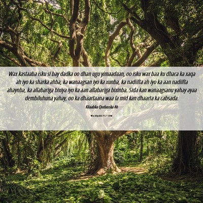 Picture 06 - Wacdiyahii 9:2 SOM - Wax kastaaba isku si bay dadka oo dhan ugu - Bible Verse Picture