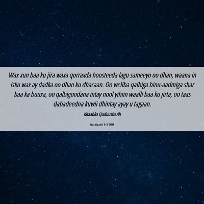Picture 06 - Wacdiyahii 9:3 SOM - Wax xun baa ku jira waxa qorraxda hoosteeda lagu - Bible Verse Picture