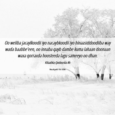 Picture 06 - Wacdiyahii 9:6 SOM - Oo weliba jacaylkoodii iyo nacaybkoodii iyo - Bible Verse Picture