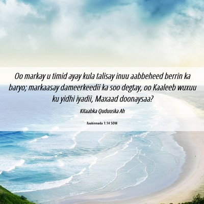 Picture 06 - Xaakinnada 1:14 SOM - Oo markay u timid ayay kula talisay inuu - Bible Verse Picture
