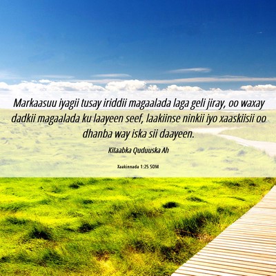 Picture 06 - Xaakinnada 1:25 SOM - Markaasuu iyagii tusay iriddii magaalada laga - Bible Verse Picture