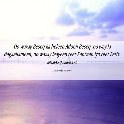 Picture 06 - Xaakinnada 1:5 SOM - Oo waxay Beseq ka heleen Adonii Beseq, oo way la - Bible Verse Picture