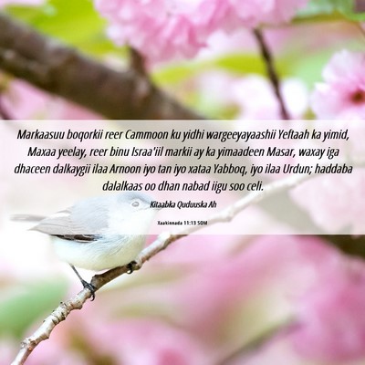 Picture 06 - Xaakinnada 11:13 SOM - Markaasuu boqorkii reer Cammoon ku yidhi - Bible Verse Picture