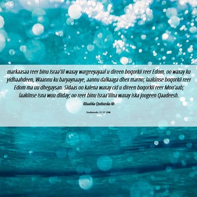 Picture 06 - Xaakinnada 11:17 SOM - markaasaa reer binu Israa'iil waxay wargeeyayaal - Bible Verse Picture