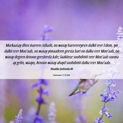 Picture 06 - Xaakinnada 11:18 SOM - Markaasay dhex mareen cidladii, oo waxay - Bible Verse Picture