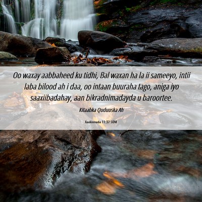 Picture 06 - Xaakinnada 11:37 SOM - Oo waxay aabbaheed ku tidhi, Bal waxan ha la ii - Bible Verse Picture