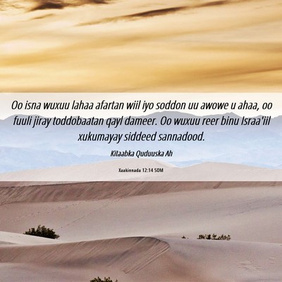 Picture 06 - Xaakinnada 12:14 SOM - Oo isna wuxuu lahaa afartan wiil iyo soddon uu - Bible Verse Picture