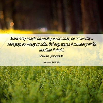 Picture 06 - Xaakinnada 13:10 SOM - Markaasay naagtii dhaqsatay oo orodday, oo - Bible Verse Picture