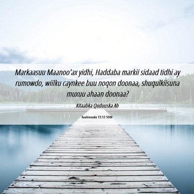 Picture 06 - Xaakinnada 13:12 SOM - Markaasuu Maanoo'ax yidhi, Haddaba markii sidaad - Bible Verse Picture