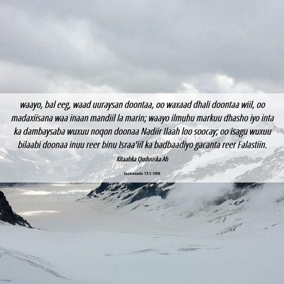 Picture 06 - Xaakinnada 13:5 SOM - waayo, bal eeg, waad uuraysan doontaa, oo waxaad - Bible Verse Picture