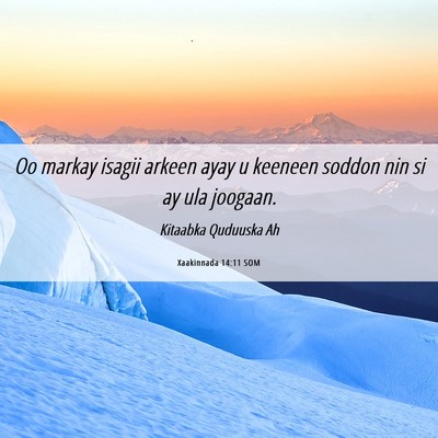 Picture 06 - Xaakinnada 14:11 SOM - Oo markay isagii arkeen ayay u keeneen soddon nin - Bible Verse Picture