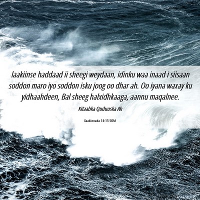 Picture 06 - Xaakinnada 14:13 SOM - laakiinse haddaad ii sheegi weydaan, idinku waa - Bible Verse Picture