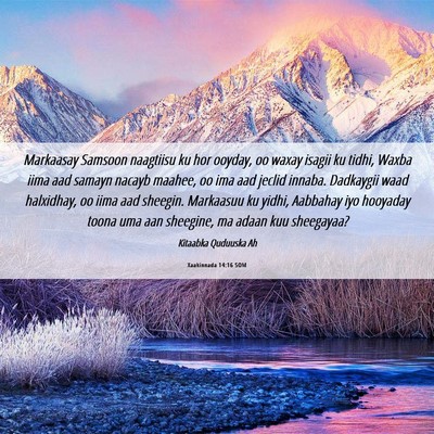 Picture 06 - Xaakinnada 14:16 SOM - Markaasay Samsoon naagtiisu ku hor ooyday, oo - Bible Verse Picture