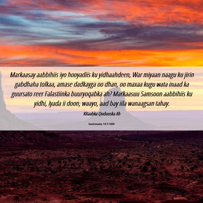 Picture 06 - Xaakinnada 14:3 SOM - Markaasay aabbihiis iyo hooyadiis ku yidhaahdeen, - Bible Verse Picture