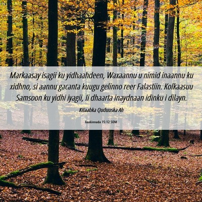 Picture 06 - Xaakinnada 15:12 SOM - Markaasay isagii ku yidhaahdeen, Waxaannu u nimid - Bible Verse Picture