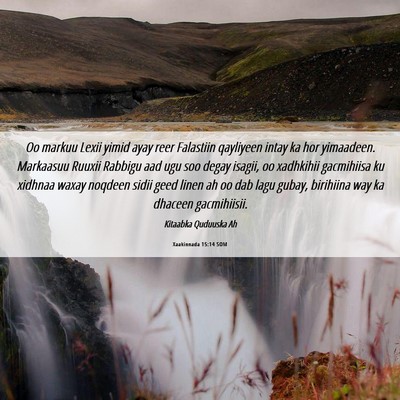 Picture 06 - Xaakinnada 15:14 SOM - Oo markuu Lexii yimid ayay reer Falastiin - Bible Verse Picture