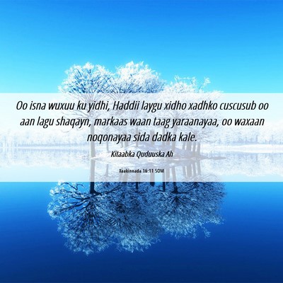 Picture 06 - Xaakinnada 16:11 SOM - Oo isna wuxuu ku yidhi, Haddii laygu xidho xadhko - Bible Verse Picture