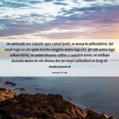 Picture 06 - Xaakinnada 16:5 SOM - Oo amiirradii reer Falastiin ayaa u yimid iyadii, - Bible Verse Picture