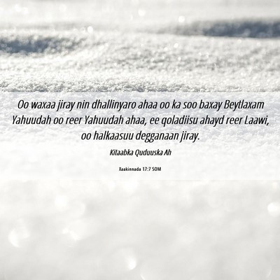 Picture 06 - Xaakinnada 17:7 SOM - Oo waxaa jiray nin dhallinyaro ahaa oo ka soo - Bible Verse Picture