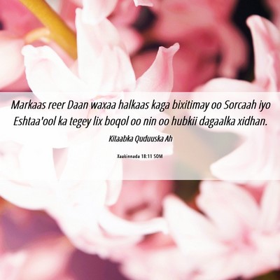 Picture 06 - Xaakinnada 18:11 SOM - Markaas reer Daan waxaa halkaas kaga bixitimay oo - Bible Verse Picture