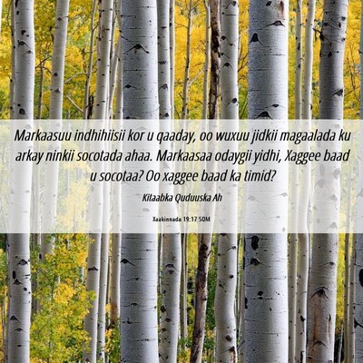 Picture 06 - Xaakinnada 19:17 SOM - Markaasuu indhihiisii kor u qaaday, oo wuxuu - Bible Verse Picture
