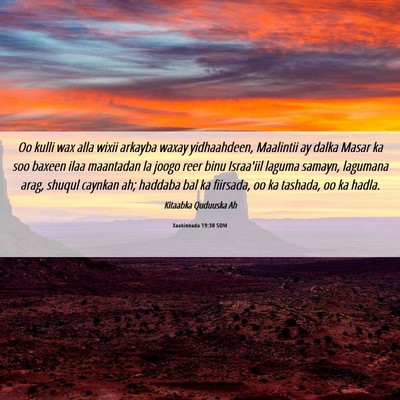 Picture 06 - Xaakinnada 19:30 SOM - Oo kulli wax alla wixii arkayba waxay - Bible Verse Picture