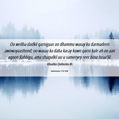 Picture 06 - Xaakinnada 2:10 SOM - Oo weliba dadkii qarnigaas oo dhammu waxay ku - Bible Verse Picture