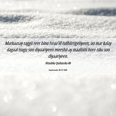 Picture 06 - Xaakinnada 20:22 SOM - Markaasay raggii reer binu Israa'iil - Bible Verse Picture