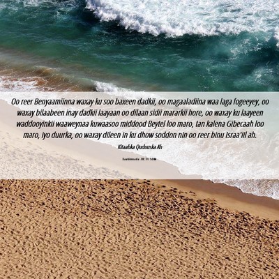 Picture 06 - Xaakinnada 20:31 SOM - Oo reer Benyaamiinna waxay ku soo baxeen dadkii, - Bible Verse Picture