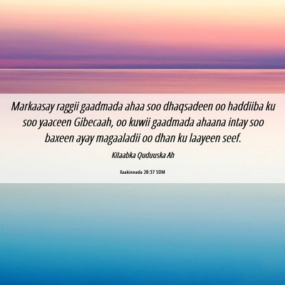 Picture 06 - Xaakinnada 20:37 SOM - Markaasay raggii gaadmada ahaa soo dhaqsadeen oo - Bible Verse Picture