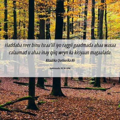 Picture 06 - Xaakinnada 20:38 SOM - Haddaba reer binu Israa'iil iyo raggii gaadmada - Bible Verse Picture