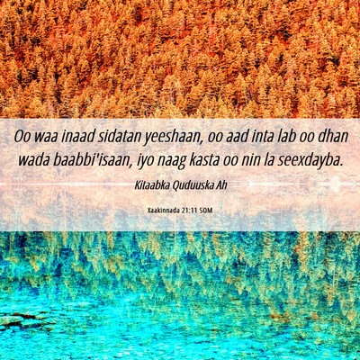 Picture 06 - Xaakinnada 21:11 SOM - Oo waa inaad sidatan yeeshaan, oo aad inta lab oo - Bible Verse Picture