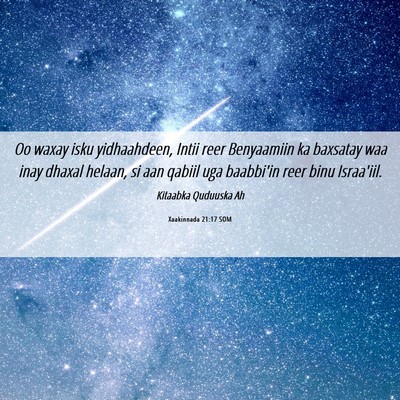 Picture 06 - Xaakinnada 21:17 SOM - Oo waxay isku yidhaahdeen, Intii reer Benyaamiin - Bible Verse Picture