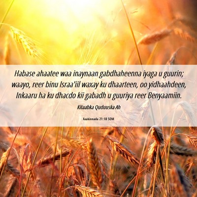 Picture 06 - Xaakinnada 21:18 SOM - Habase ahaatee waa inaynaan gabdhaheenna iyaga u - Bible Verse Picture
