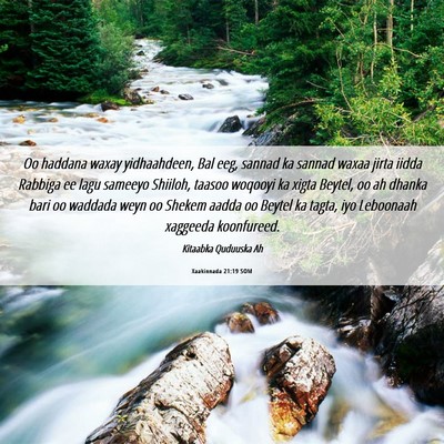 Picture 06 - Xaakinnada 21:19 SOM - Oo haddana waxay yidhaahdeen, Bal eeg, sannad ka - Bible Verse Picture