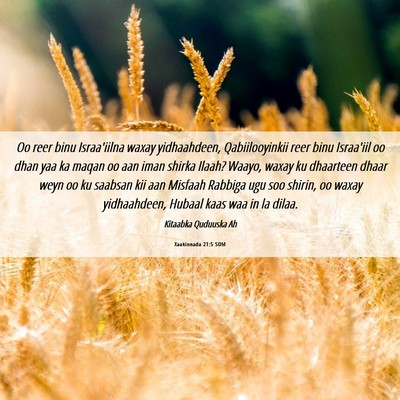 Picture 06 - Xaakinnada 21:5 SOM - Oo reer binu Israa'iilna waxay yidhaahdeen, - Bible Verse Picture